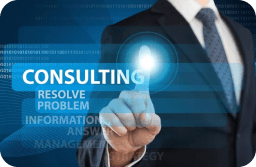 IT Consulting